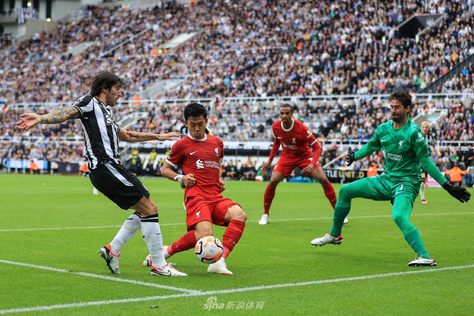 综上所述 综上所述